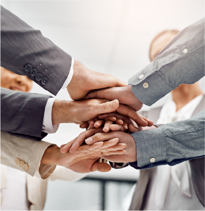 WEgypt grocery shopping